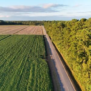 dji_fly_20250918_183918_0447_17582353651