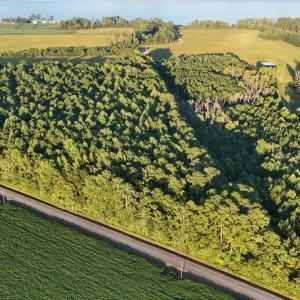 dji_fly_20250918_183056_0437_17582353834