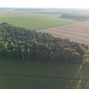 dji_fly_20250918_182910_0435_17582353809