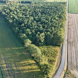 dji_fly_20250918_182804_0433_17582353791