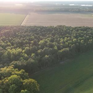 dji_fly_20250918_183642_0444_17582353690