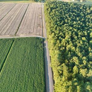 dji_fly_20250918_183844_0446_17582353667