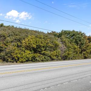 14-web-or-mls-IMG_3624_1