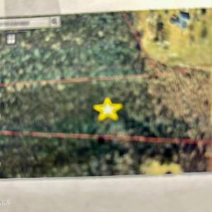 Map View