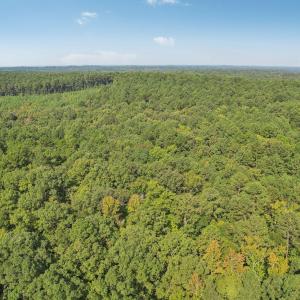S Rocky River Rd-004