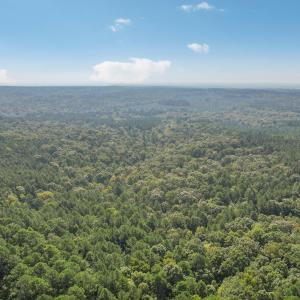 S Rocky River Rd-008