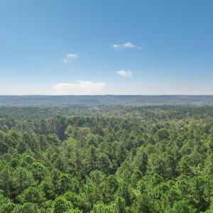 S Rocky River Rd-009