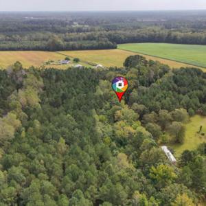 134038867134295432_134038867060925370_XD