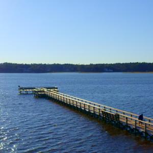 Still 2024-12-04 200113_1.2.1