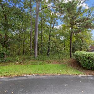 3-web-or-mls-IMG_2199