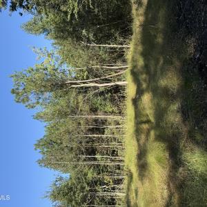 IMG_8307