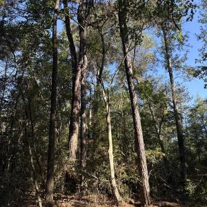 DJI_20251003_104640_888