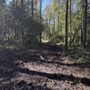 DJI_20251003_104534_226