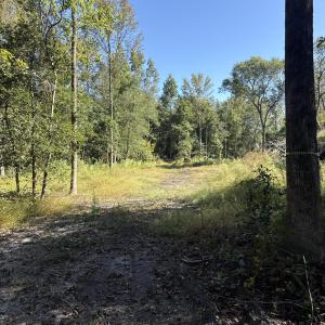 DJI_20251003_104336_953