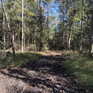 DJI_20251003_104529_802