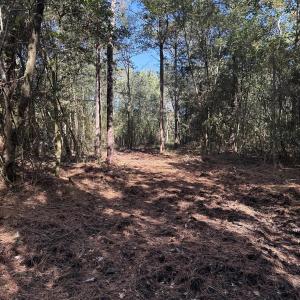 DJI_20251003_104820_159