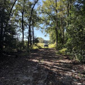 DJI_20251003_105618_269