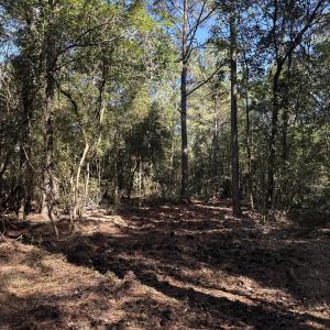 DJI_20251003_104741_039