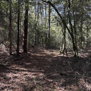 DJI_20251003_104628_347