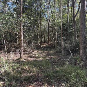 DJI_20251003_104552_225