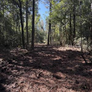 DJI_20251003_105349_064