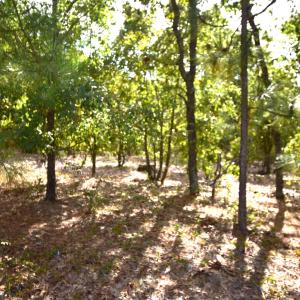 Mill Road Jackson Springs