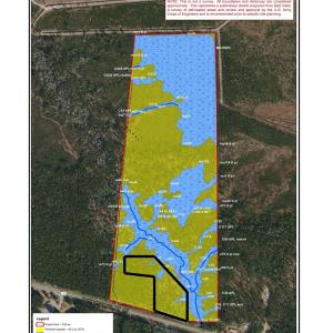wetland with parcel lines
