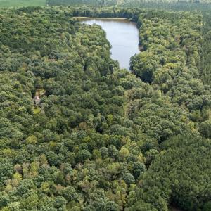 48_dji_20251001110857_0012_d