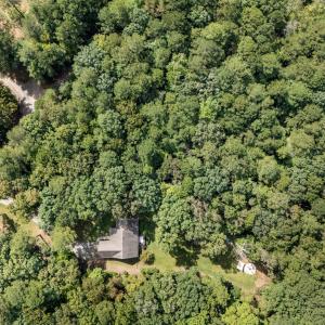 42_dji_20251001110234_0005_d