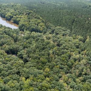49_dji_20251001110922_0013_d