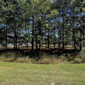 503 Cromwell Notch SW