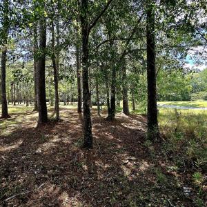 503 Cromwell Notch SW