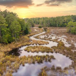 1054 Mill Creek Drive