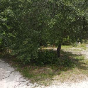 438_1757782543178_photo