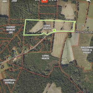 Photo #14 of 644 Cherry Town, Hallsboro, NC 65.1 acres