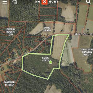 Photo #13 of 644 Cherry Town, Hallsboro, NC 65.1 acres