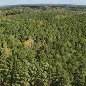 dji_fly_20251002_122416_0092_17595306424