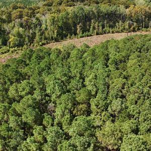 dji_fly_20251002_122504_0094_17595306418