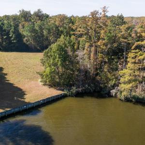 Cyn Owens-Osprey Dr.-23