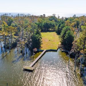 Cyn Owens-Osprey Dr.-1