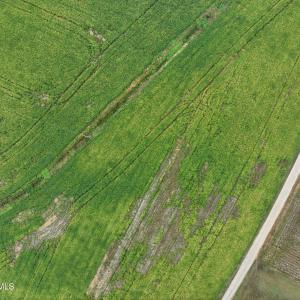 19_photo--red-oak-battleboro-road