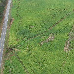 46_photo--red-oak-battleboro-road