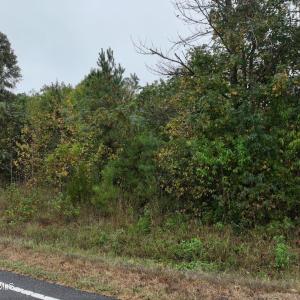 7_photo--red-oak-battleboro-road