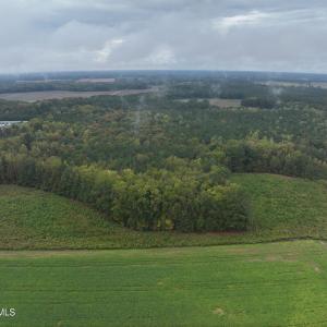 12_photo--red-oak-battleboro-road