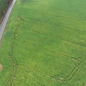 47_photo--red-oak-battleboro-road