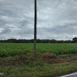 10_photo--red-oak-battleboro-road