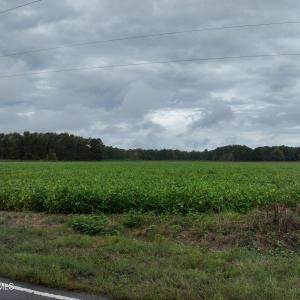 3_photo--red-oak-battleboro-road