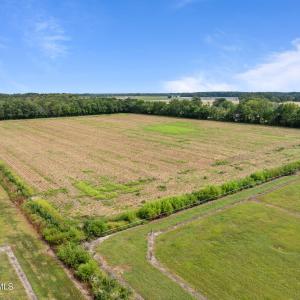 12-web-or-mls-DJI_0334