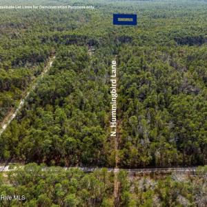 N. Hummingbird Road View