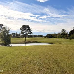 View from middle of site